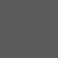 Dark Gray swatch